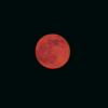 RED MOON