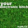 Your electronic bitch