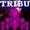 TRIBU