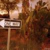 "One way"