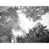 Rain circles