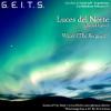 Luces del Norte (Boreal lights)