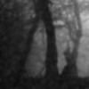 unnamed0001