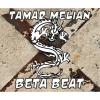 Beta Beat