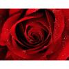 Dj Imperio- Unforgettable feeling