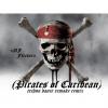 Dj flektor piratas del caribe techno dance remix