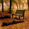 Llego el Otoño (demo)