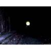 Hasta el final...