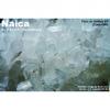 Naica