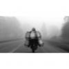 Dancing Fog