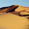 Manuel de la Torre and Angel Alcocer- Dunes of the mind