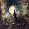 Let It In - Josh Woodward