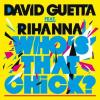 David Guetta ft. Rihanna - Who's that chick (Zoltan Peter remix)