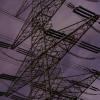 colectivo triangular - city lights
