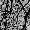 colectivo triangular - moving