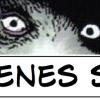 ¿Quiénes Son?