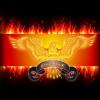fireBirds