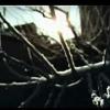 FEAR-FILMS