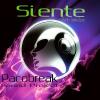 *Siente*-//Electro Samba Disco Edition\\-