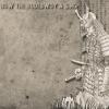 Bull3tpr00f - Dis is how the rudebwoy a sing