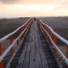 The Bridge