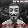 Indig-Nación