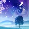 Following The Dream
