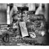 Ruins (extracto)