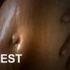 Gest