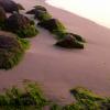 Caminando por la playa