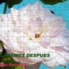 Hablaremos despues (Ximeta)