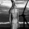 colectivo triangular - sleepless dragonflies