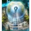 Imagination