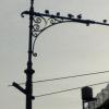 Siglo