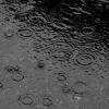 Soft Rains