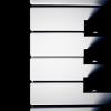 Aura Nº 6 -Delphinidae-
