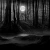 Lost in the forest