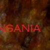 Insania