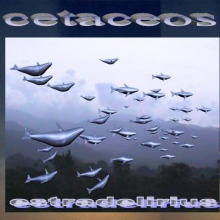 Cetaceos