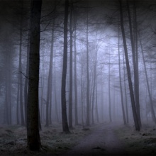 The path