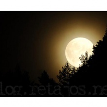 Luna tucumana