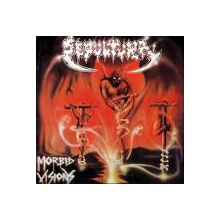 seyver troops of doom (sepultura cover)