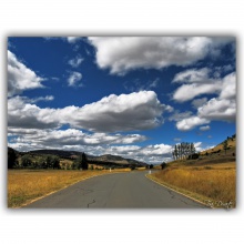 Keep Moving Forwards