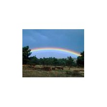 Arco iris