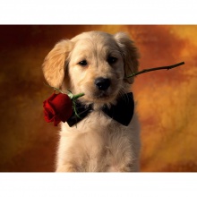 Los Top Ten románticos de Moon