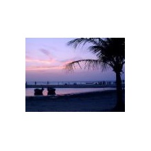 Fotografia