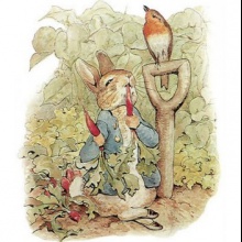 El conejo y el colibrí
