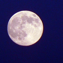 Wazimu