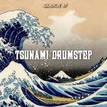 Tsunami Drumstep SNIPPET