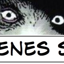 ¿Quiénes Son?